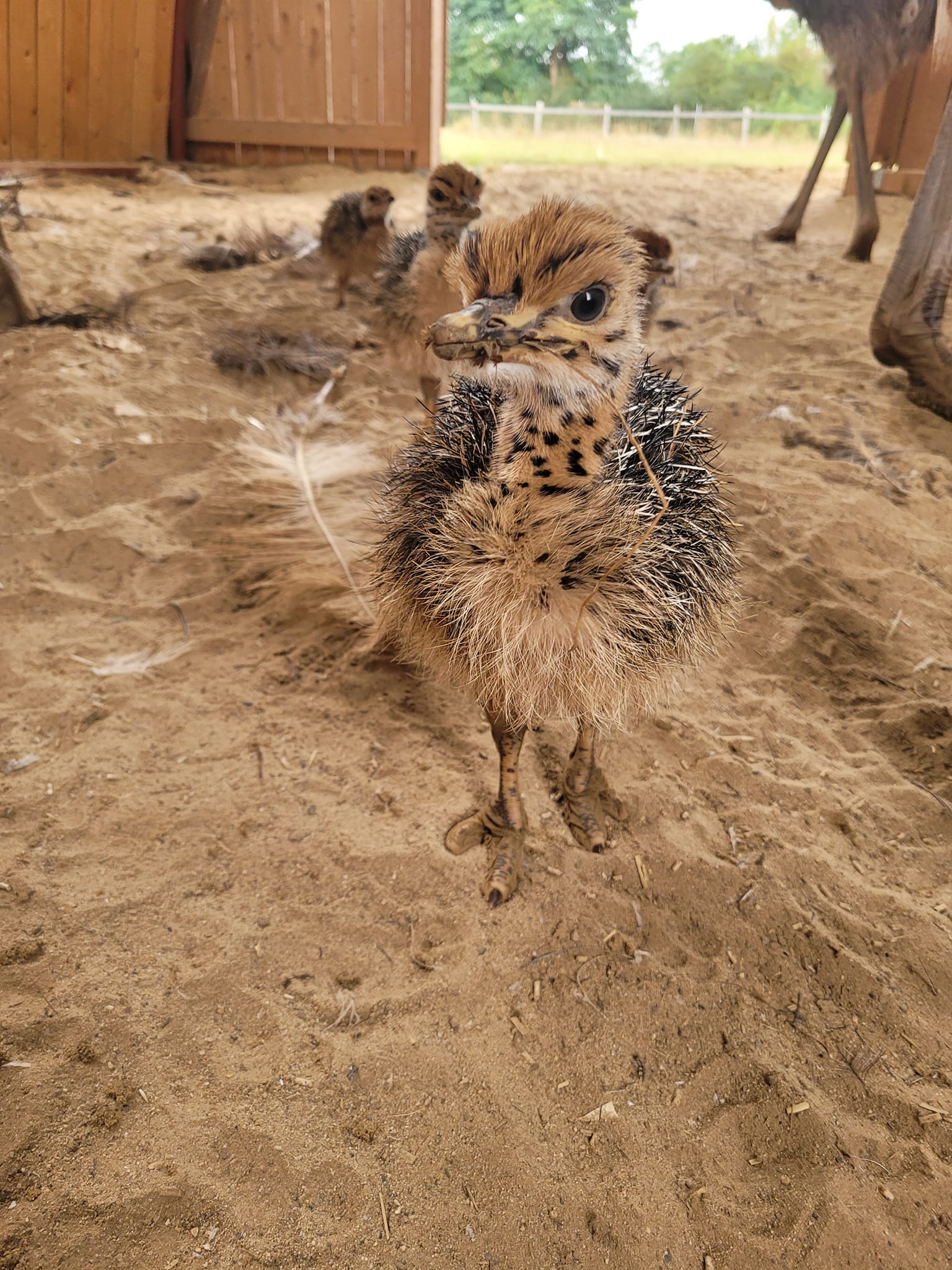 Entwicklung der Farm seit 2019